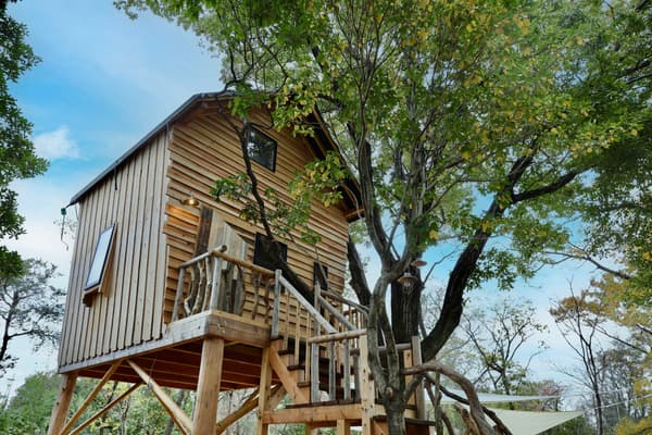 Exterior de la casa del árbol rodeada de naturaleza