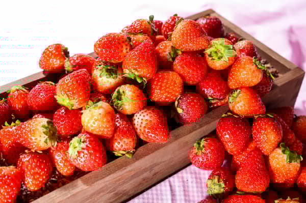 Strawberry decoration experience