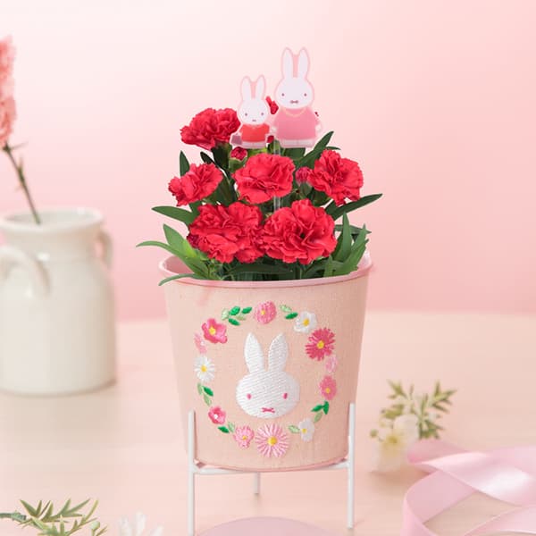 Embroidered Tin Can Carnation Set