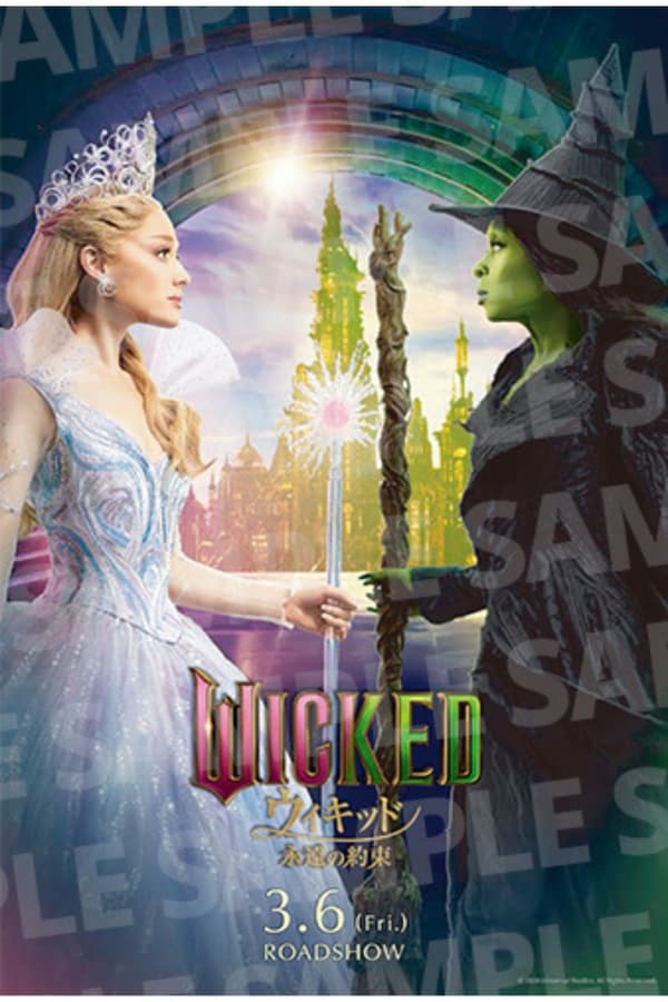 프리미엄 엽서 선물