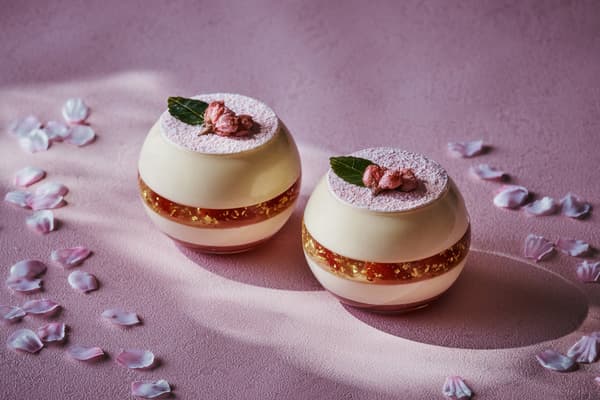 Sakura Tiramisu