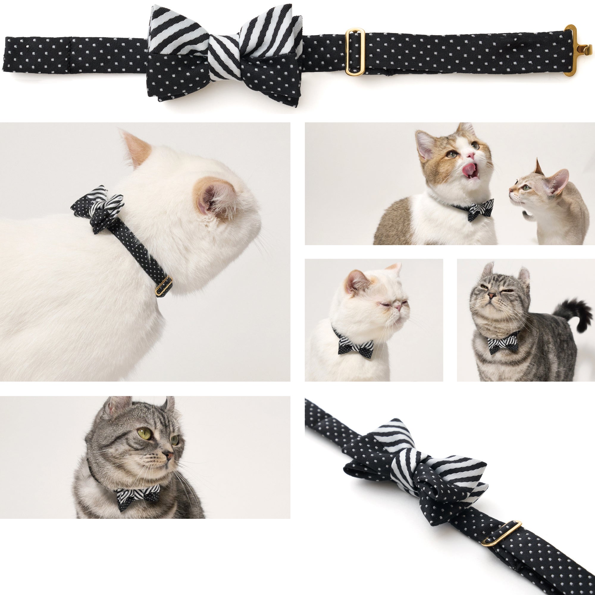 Monotone Symphony Detail