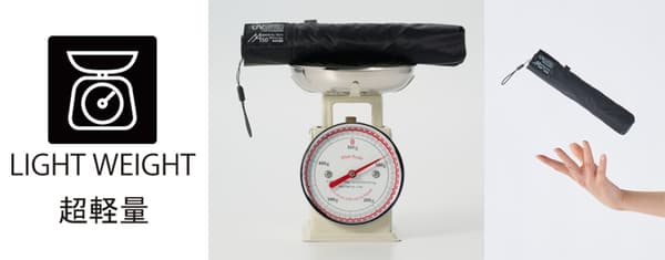 Carbon rib technology diagram