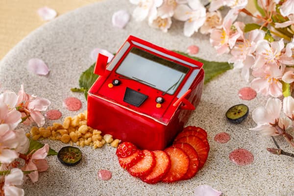 Pastry Chef's Special IKEBUS Cake