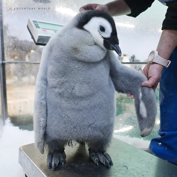 Day 75 (December 14)