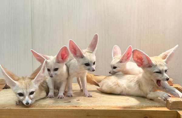 With the family as of January 30, 2026