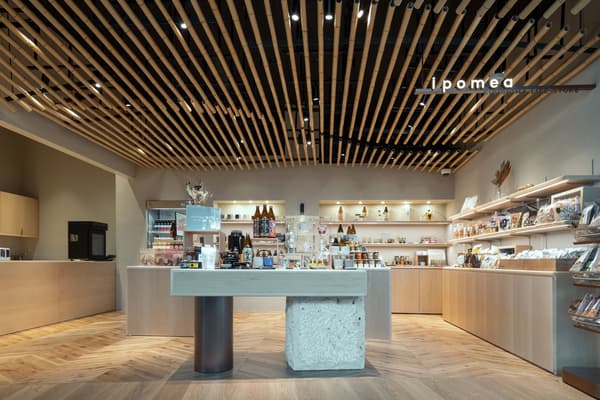 KIRISHIMA LIFE STORE ipomea