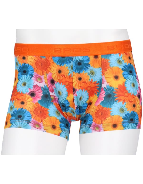 OR (ตระกูลสีส้ม)