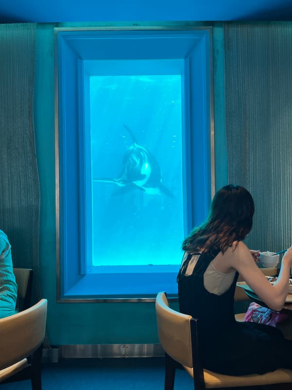 Varias opciones gastronómicas gourmet en Kamogawa Sea World