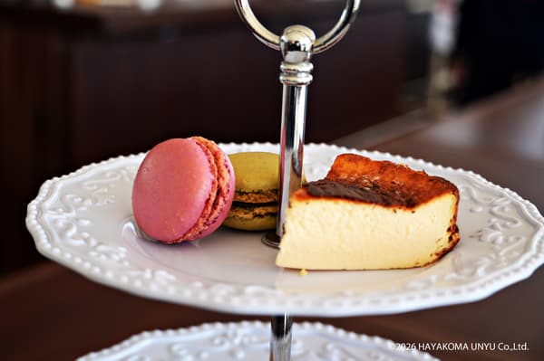 马卡龙和芝士蛋糕