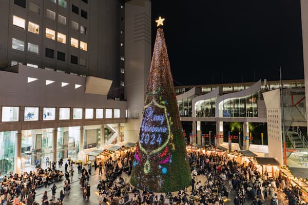 Árbol Símbolo en Wonder Square