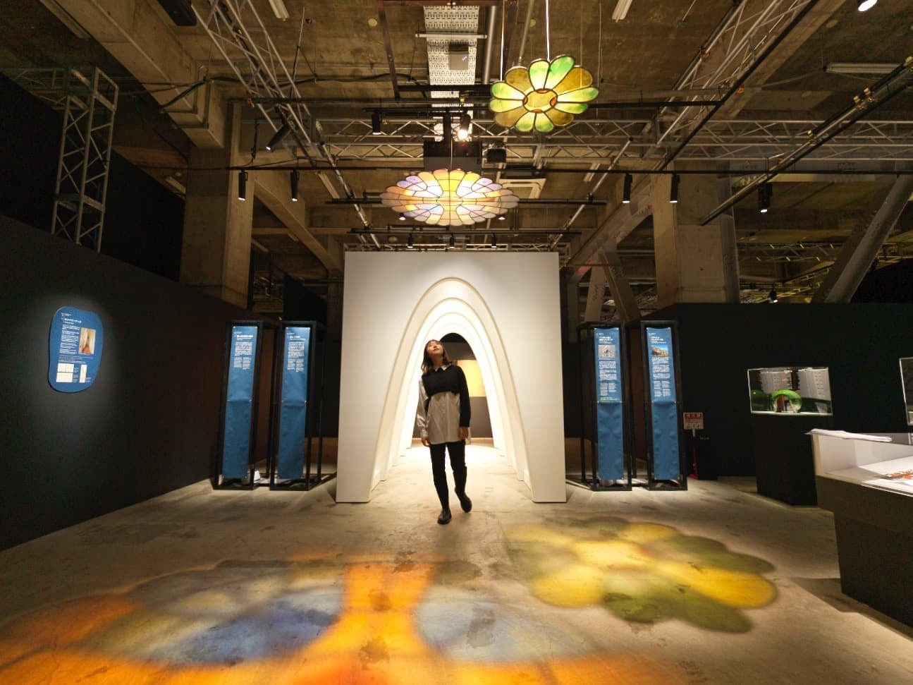 Area 5 Title: 생명의 형태 ③