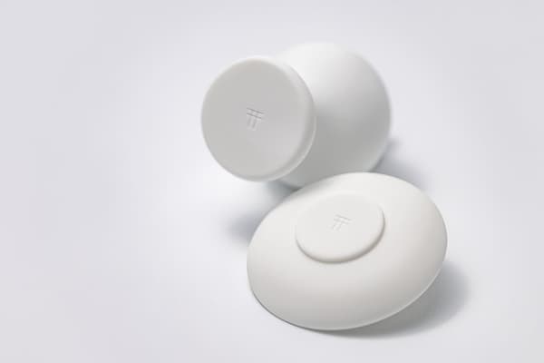 Pequeña marca de puerta torii en la parte posterior