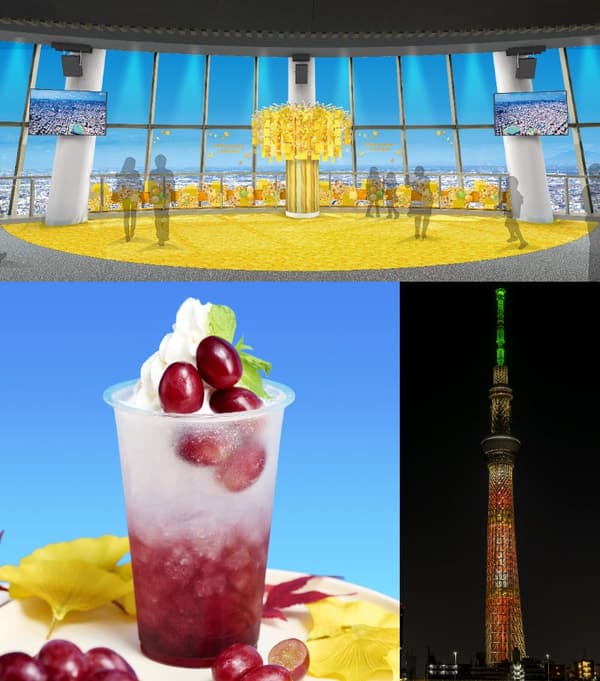 Finding Autumn in SKYTREE® Image