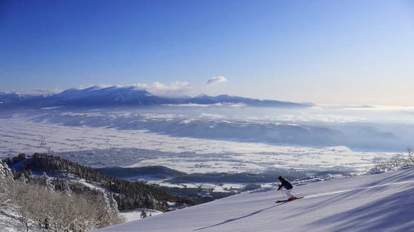 雪成为故事的那一刻。Tomamu和Furano的粉雪带给您超出预期的情感。当您开始滑行时，北海道的冬天展现出它的真实本性。