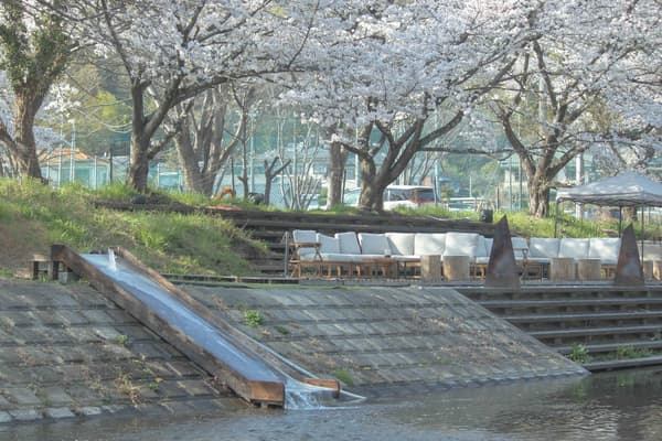 맑은 강으로 이어지는 강 슬라이드