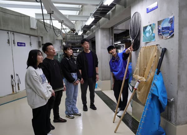 鸭川海洋世界的鲨鱼喂食体验