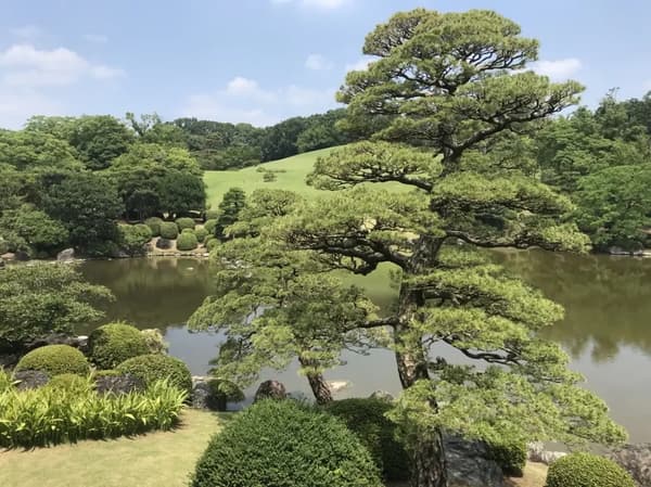 Jardín Japonés tradicional