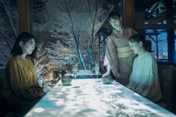 Dinner service in the dining room