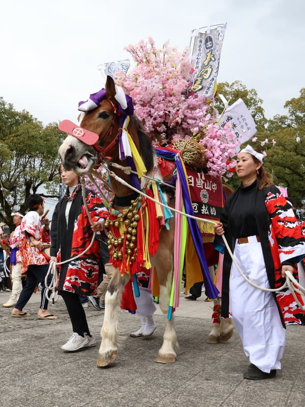 Suzukake Horse