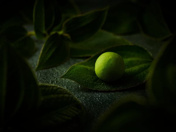 Matcha truffle chocolate display