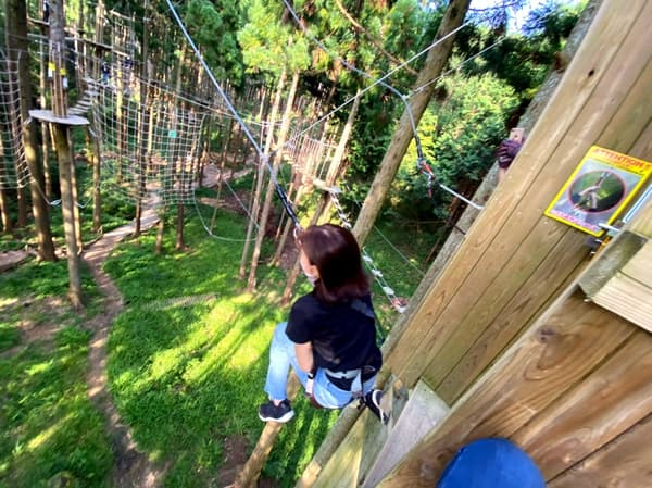 Tarzan Swing experience
