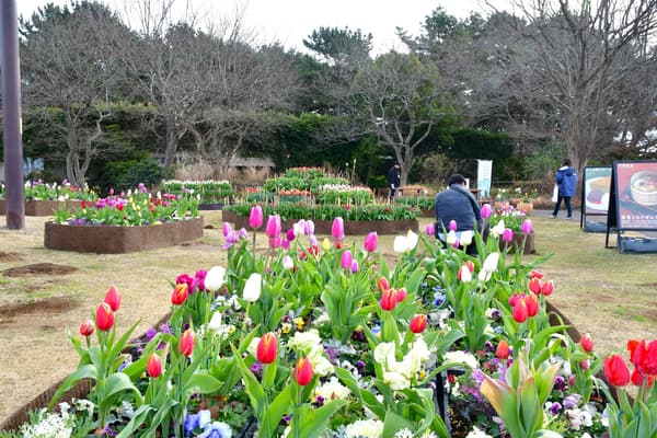 Exhibición de invierno de la casa de reposo del bosque conmemorativo