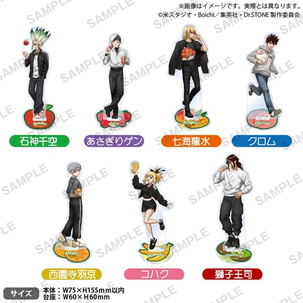 Dr. Stone Acrylic Stand