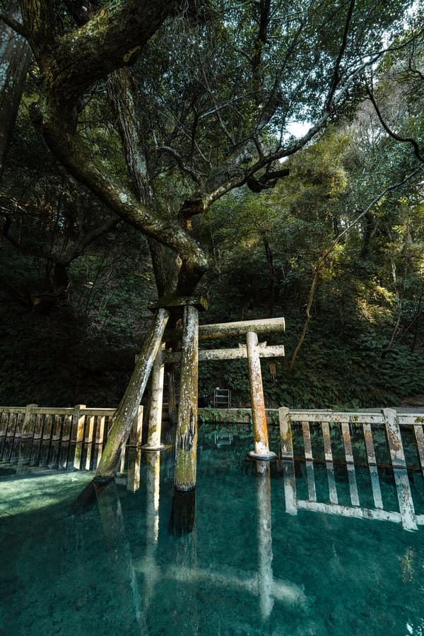 生命之水的鸟居