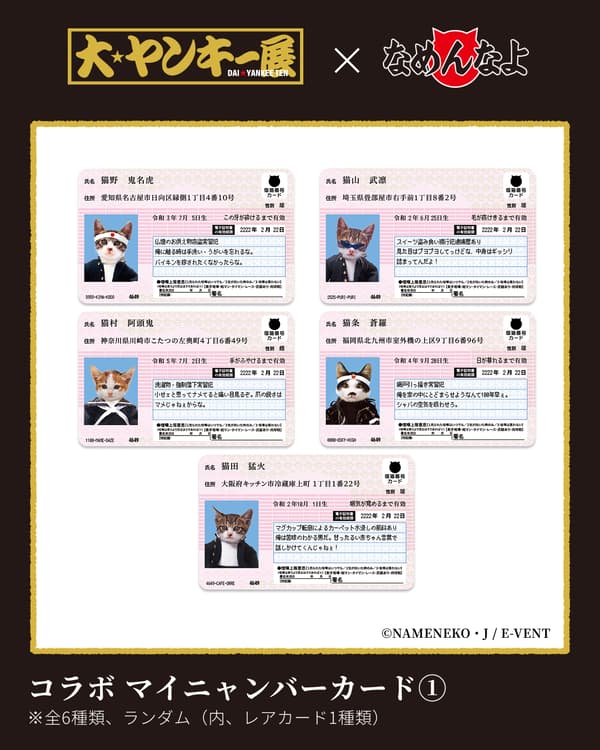 나메네코 상품 1