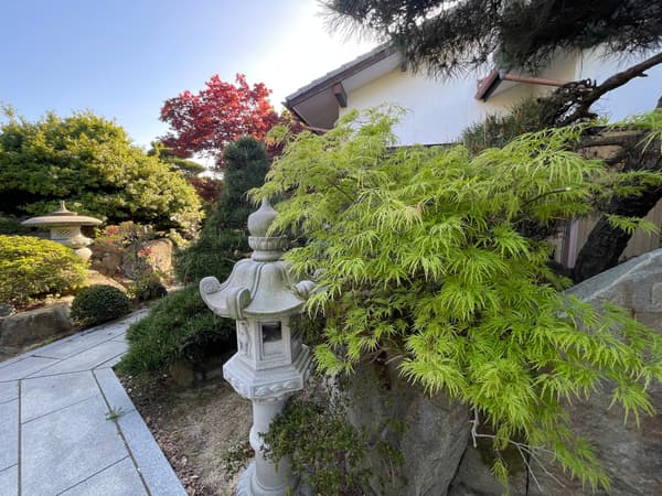 Japanese garden showing different expressions with the seasons