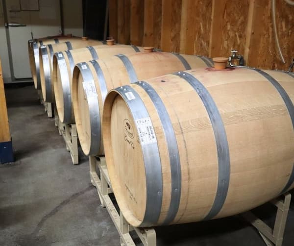 Preparación de la degustación de vinos