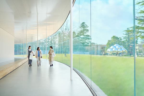 21st Century Museum of Contemporary Art, Kanazawa Morning Walk Tour