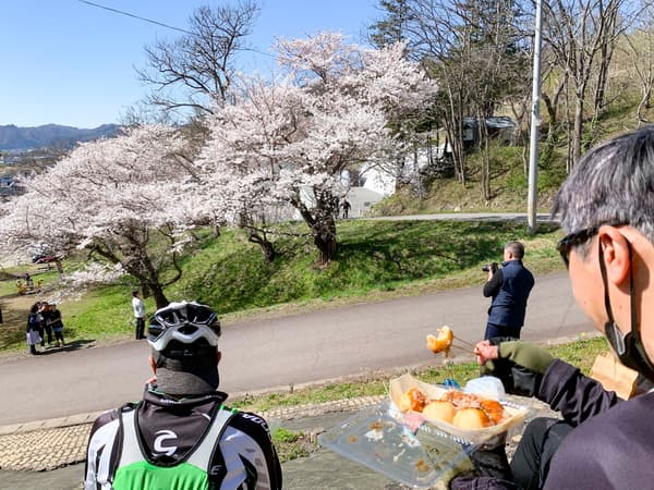 Nanyo City – Eboshiyama Senbonzakura