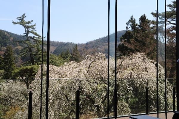 Hakone Hotel Kowakien grounds