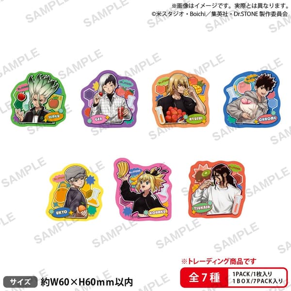 Dr. Stone Merchandise Item