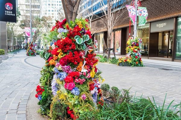 Botanical Street from Last Year