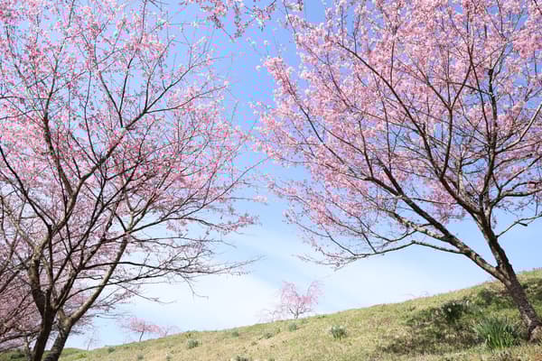 Lembah Seseragi (difoto pada 3 April 2026)