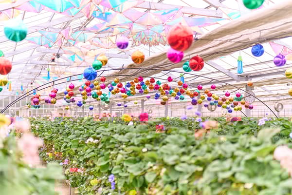 Instalación de arcoíris sobre carriles de fresas