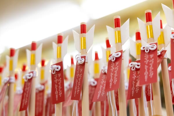 깃털 작업 클로즈업