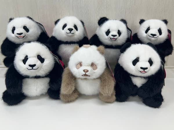 Panda charms