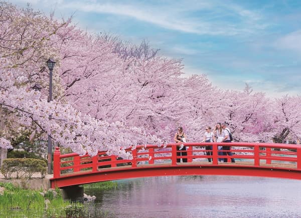 臥龍公園周邊環境