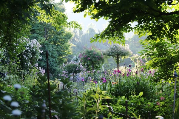 Rosanberry Tawada English Garden