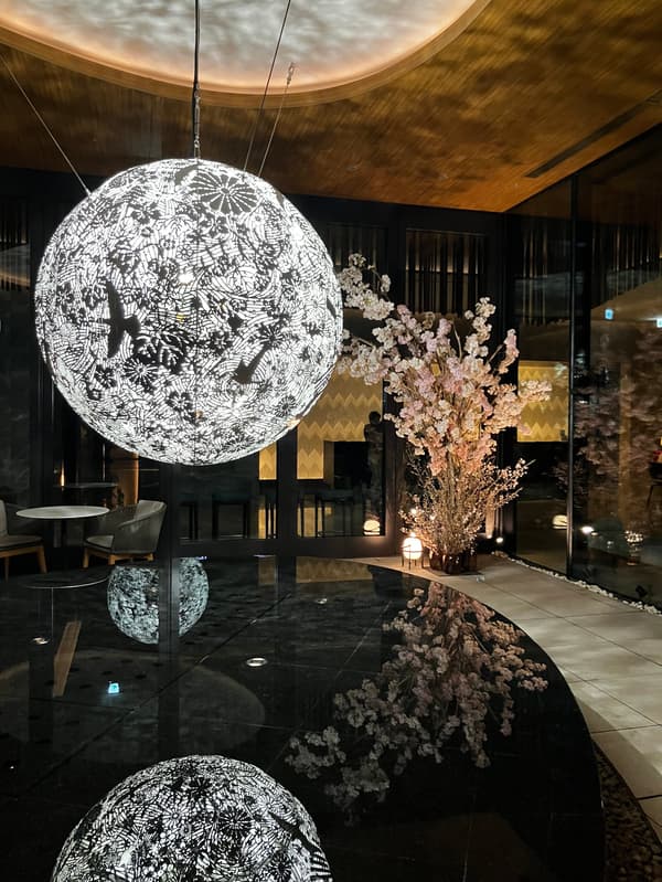 Decoración de la terraza de flores de cerezo en TIAD (imagen de 2025)