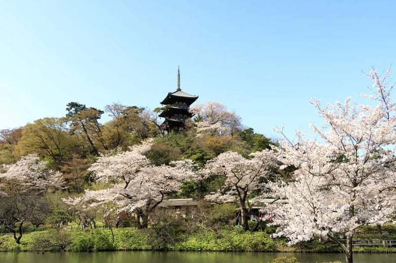 Yokohama Sankeien Garden
