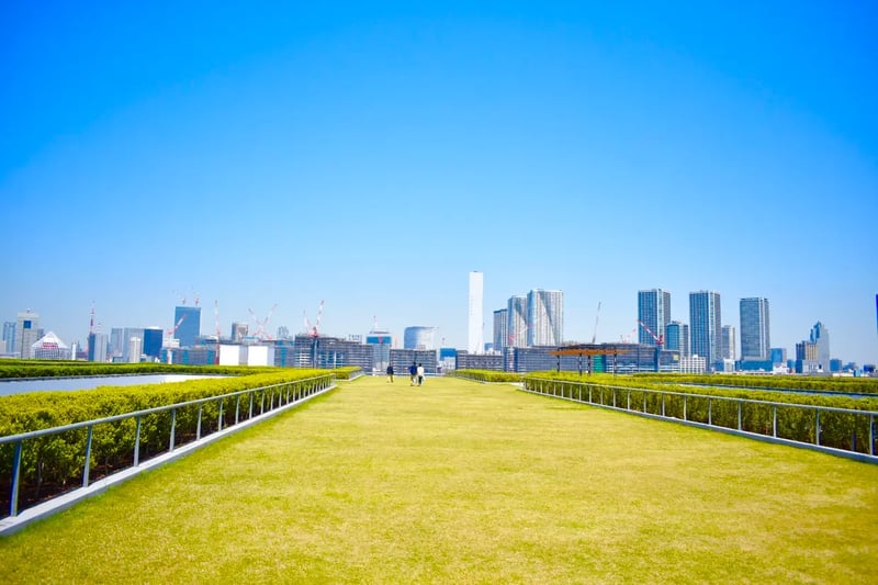 Green Roof Plaza