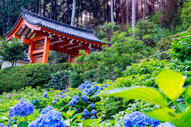 Mimuroto-ji Temple