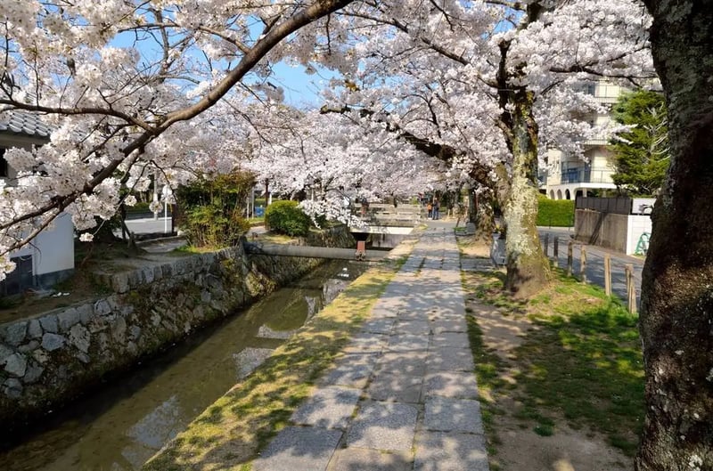 Philosopher's Path (Tetsugaku-no-michi)