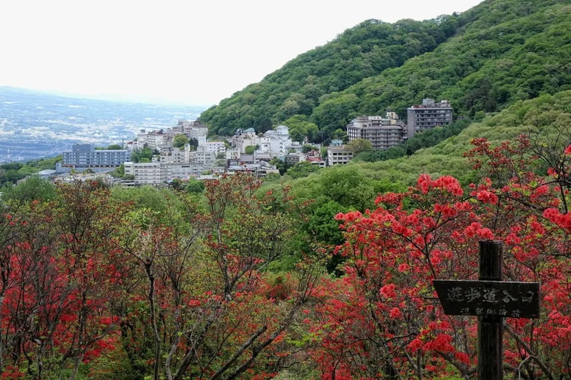 Nagamine Park