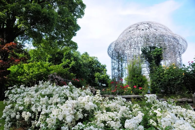 Odawara Flower Garden